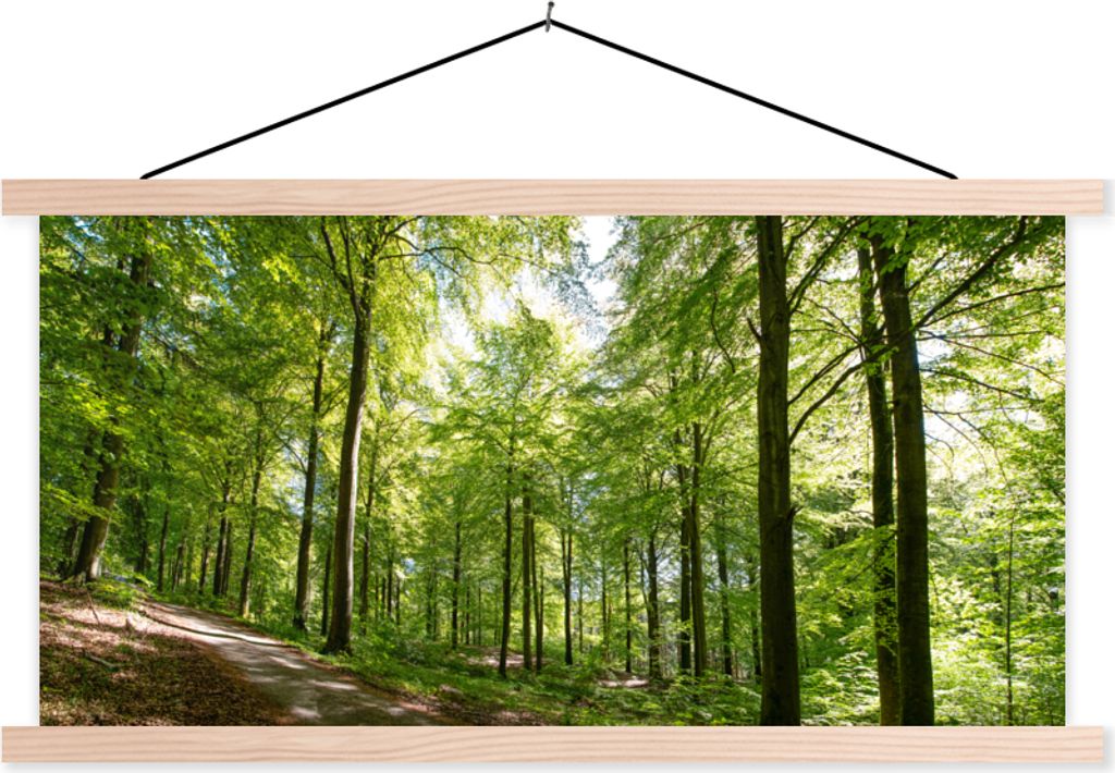 MuchoWow Textilposter Wald - Sonne - Baum 60x30 cm mit holzfarbenen Rahmen - Dekoration