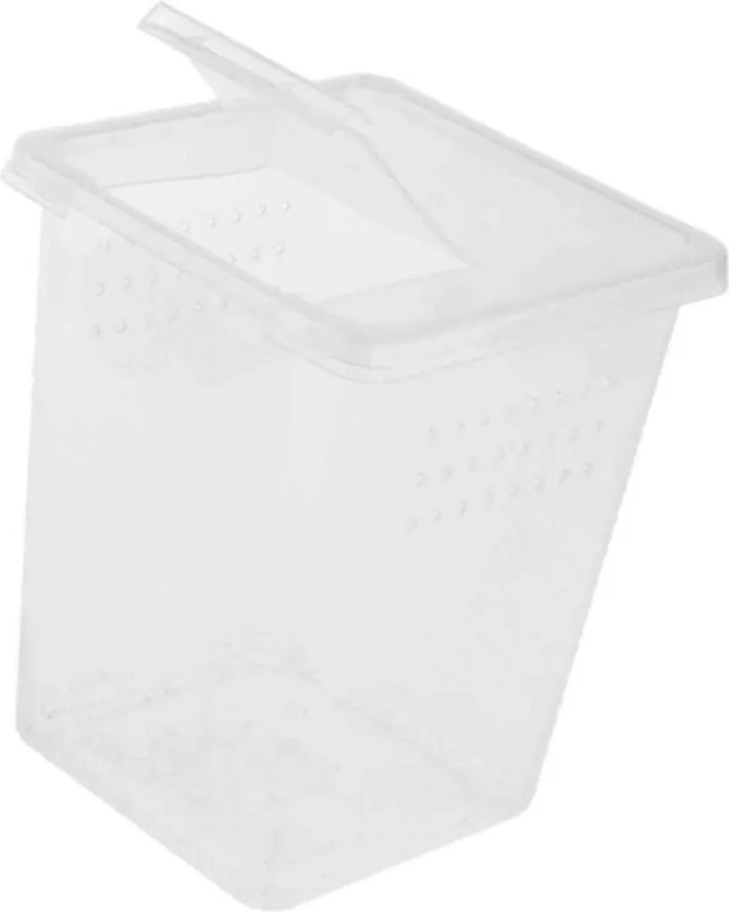 Boîte à insectes transparente avec aération optimisée Terrario 1.1L