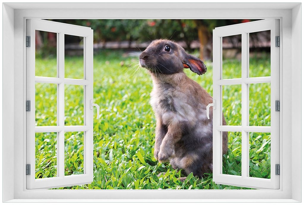 Wallario Premium Glasbild mit Fensterrahmen, freischwebende Optik, kräftige Farben, Größe 60 x 90 cm Motiv Kaninchen im Garten mit süßem Blick