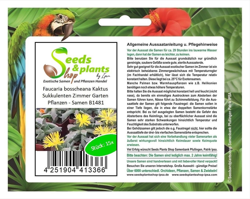 15x Faucaria bosscheana Kaktus Sukkulenten Zimmer Garten Produktbild 