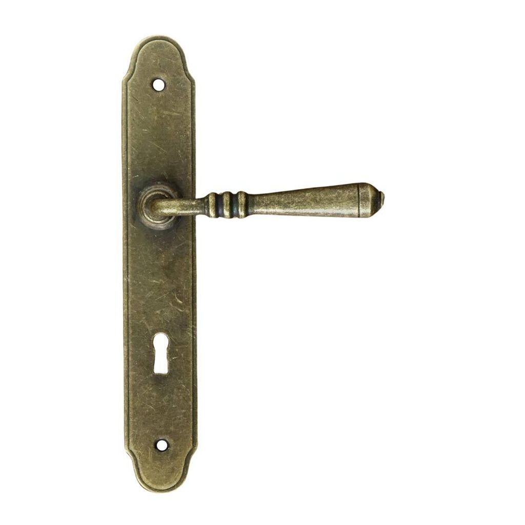 A single door handle set with a long backplate and a keyhole, presented against a white background.