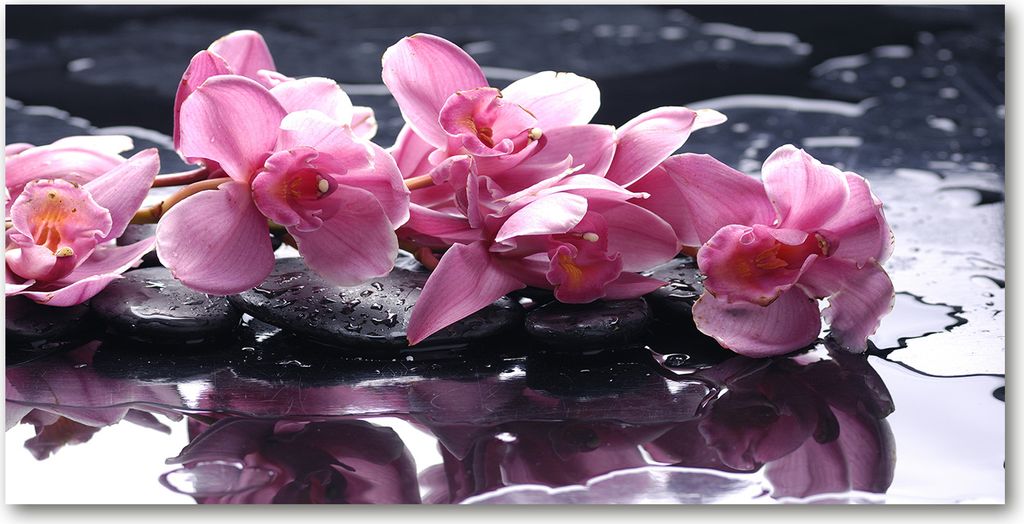 Tulup Küchenrückwand Spritzschutz aus Glas -100x50 -Spritzschutz auf gehärtetes GlasDeko Blumen & Pflanzen Rosa Orchidee