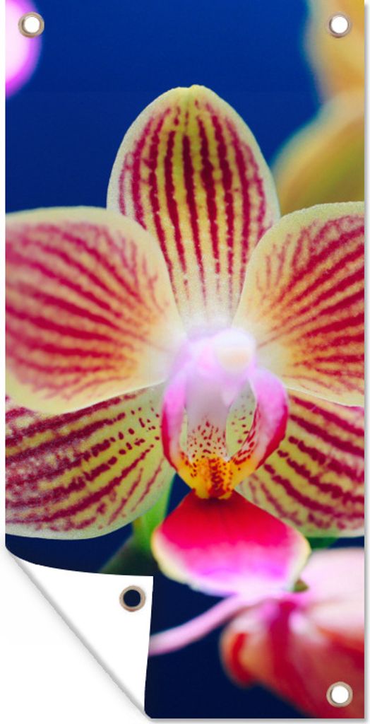 MuchoWow 40x80 cm Outdoor-Poster Gartendeko Sichtschutz Garten Poster für den Garten Von Orchidee