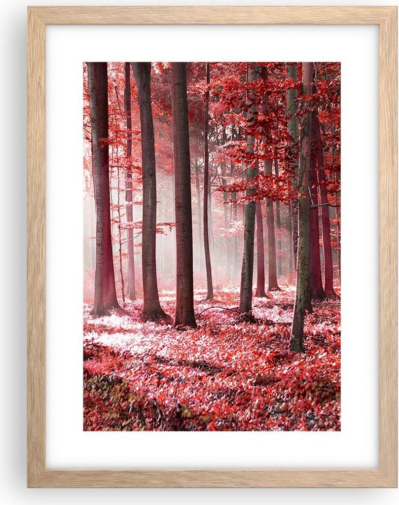 Gerahmtes Poster - Rahmen in heller Eiche - Wald Rot Bäume - 30x40 cm - Wand Bild - Wanddeko - Wandbilder - Kunstposter - Wandposter - Bilderrahme...