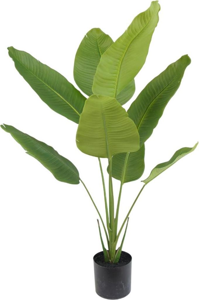 Silk-ka kunstplant, Strelitzia, groen, 150 cm Productafbeelding 