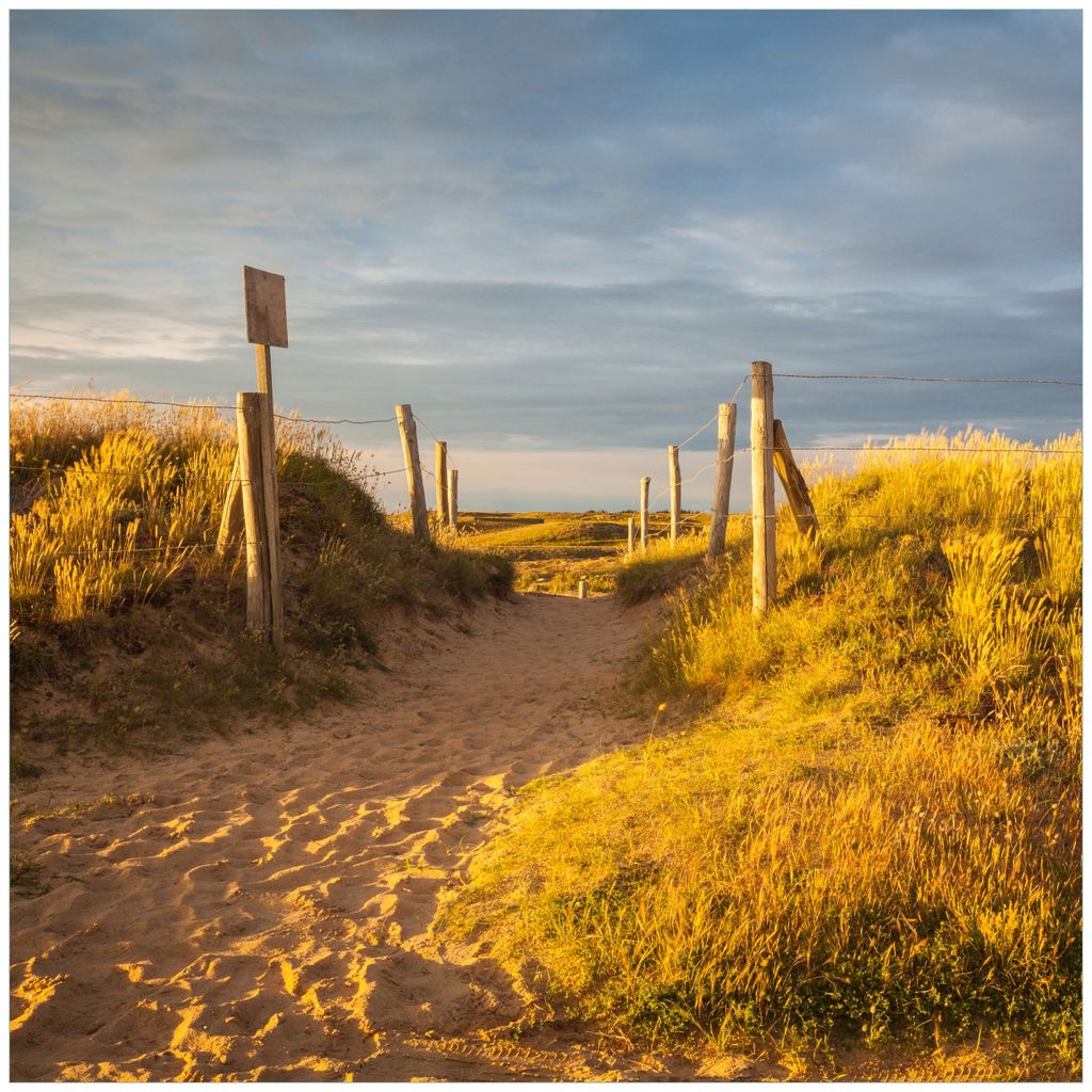 Wallario Wandbild aus Acryl, 50 x 50 cm, freischwebende Optik - Düne am Strand bei Sonnenuntergang in Frankreich