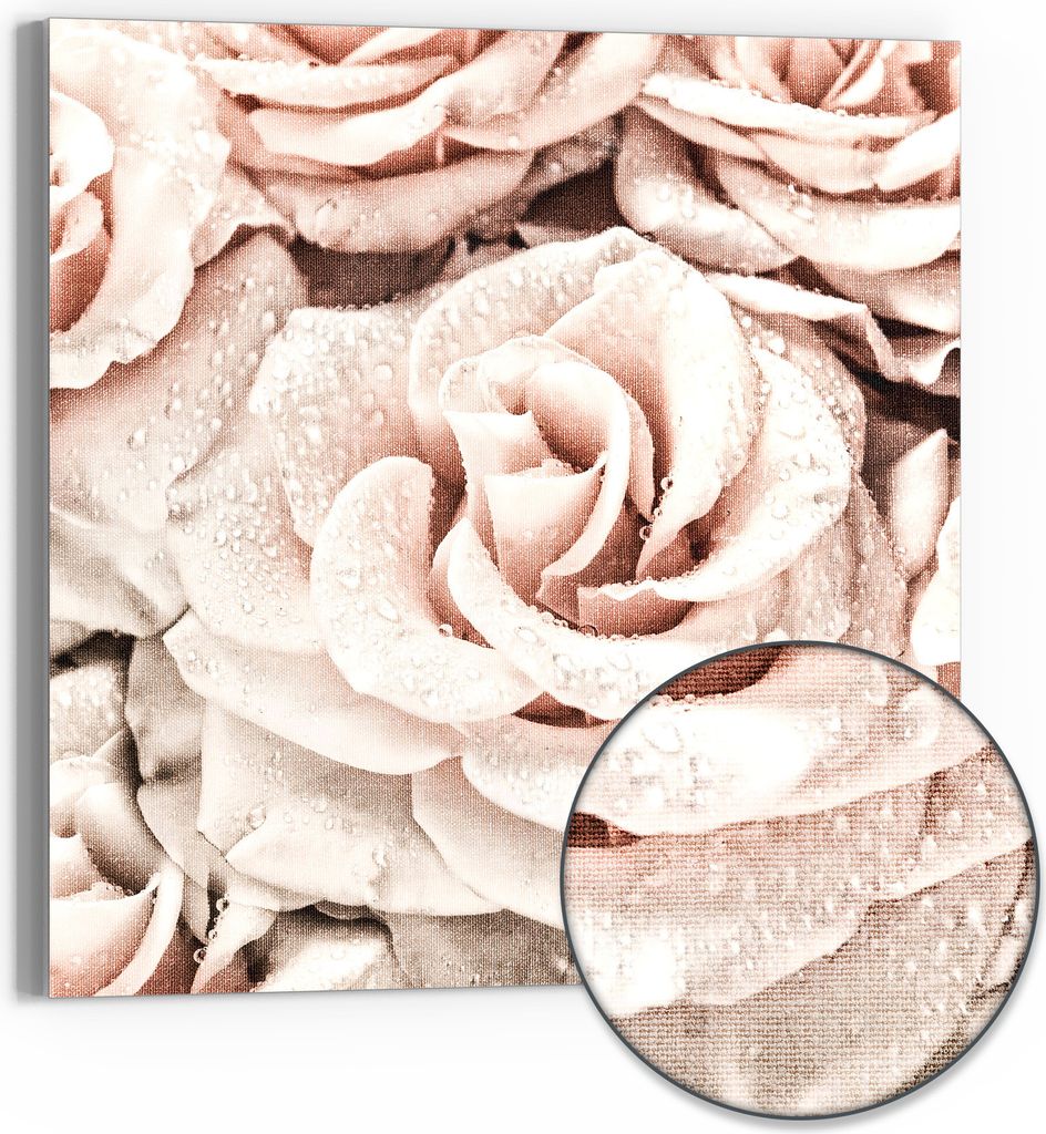 DEQORI Hybrid Leinwand Bild 30x30 cm 'Taufrische Rosen' Wandbild Glas flach modern