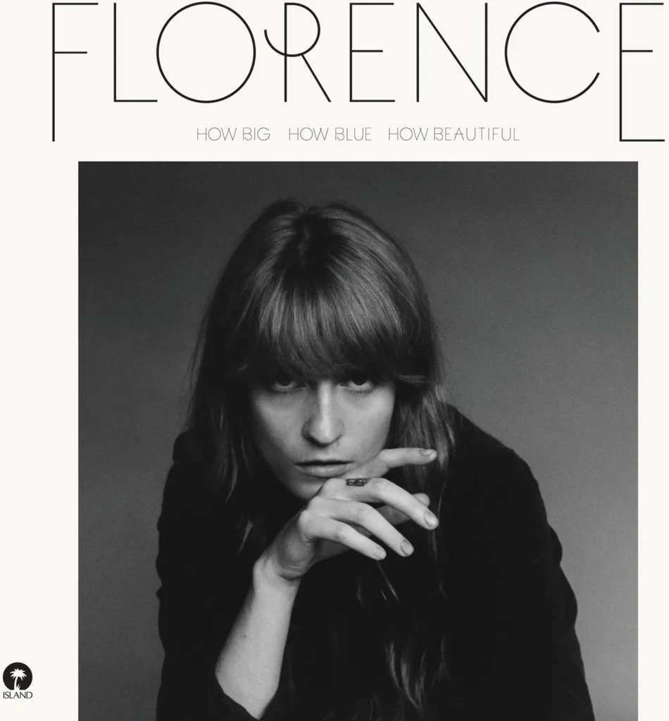 Livre Audio Florence + The Machine Comme c'est grand bleu et beau