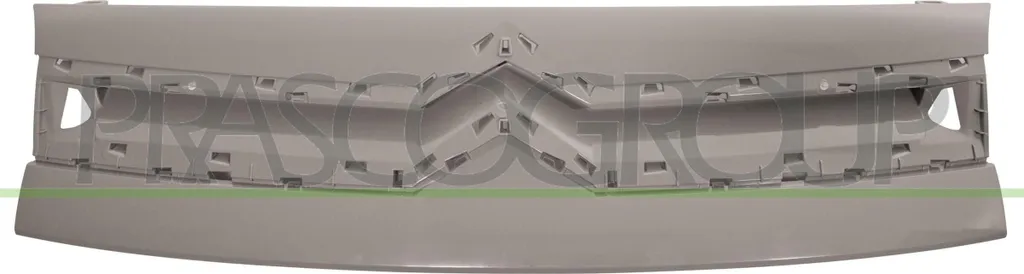 Remplacement grille de calandre pour Citroën Berlingo - Réparation OE