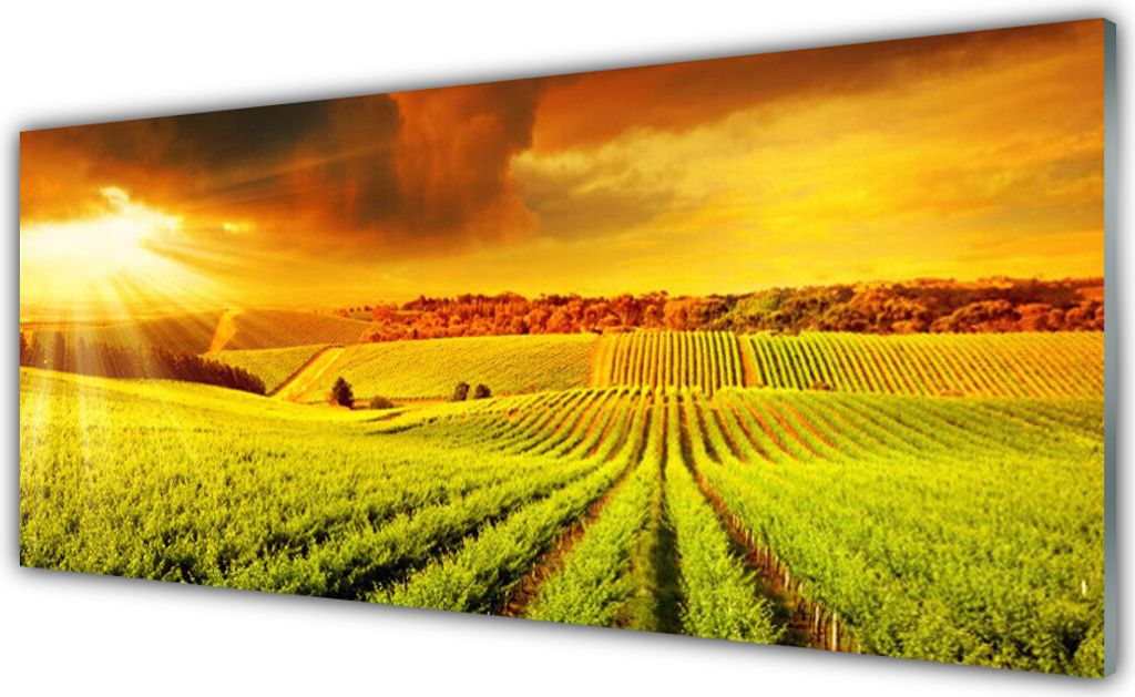 Küchenrückwand aus Glas 125x50cm Spritzschutz Sonnenuntergang Landschaft