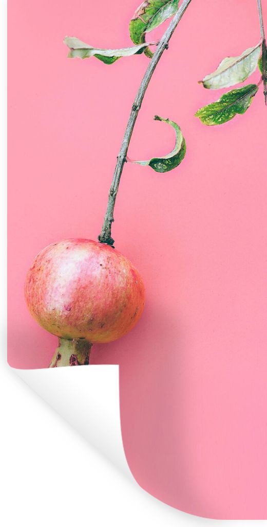 MuchoWow Wandtattoo Wandsticker Wandaufkleber Pflanzen - Sommer - Rosa 20x40 cm Selbstklebend und Repositionierbar - Selbstklebend - Fototapeten