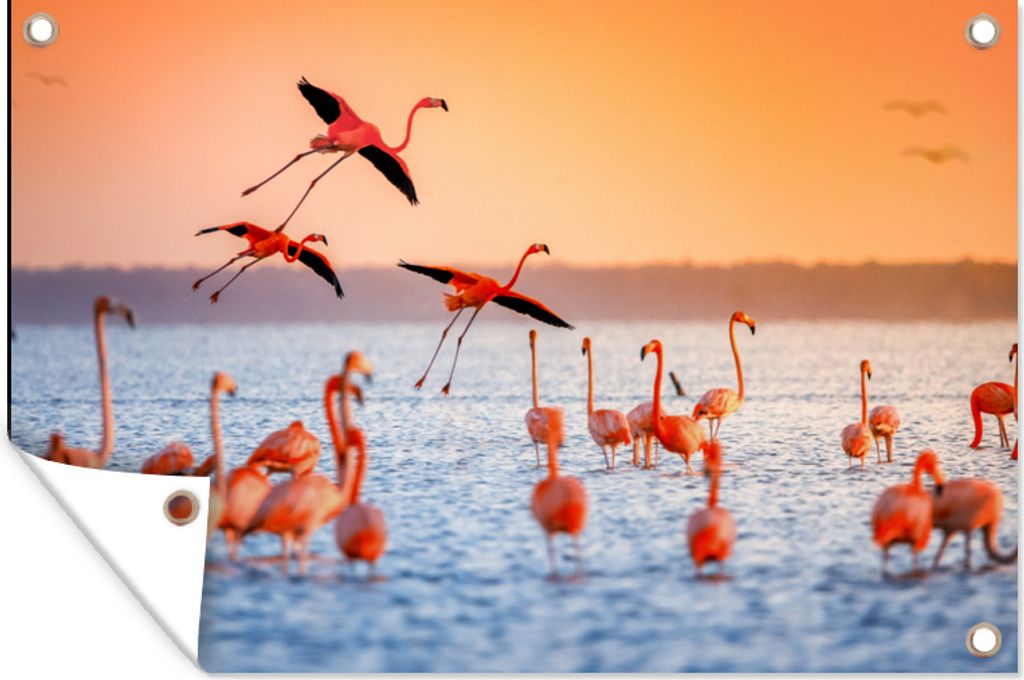 MuchoWow 120x80 cm Outdoor-Poster Gartendeko Sichtschutz Garten Poster für den Garten Vogel - Flamingo - Wasser - Sonnenuntergang - Rosa