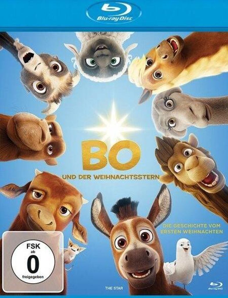 Bo und der Weihnachtsstern