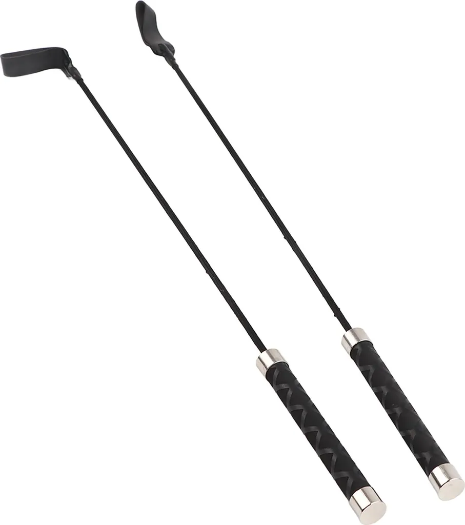 Cravache de dressage et fouet d'éducation canine - Lot de 2 robustes