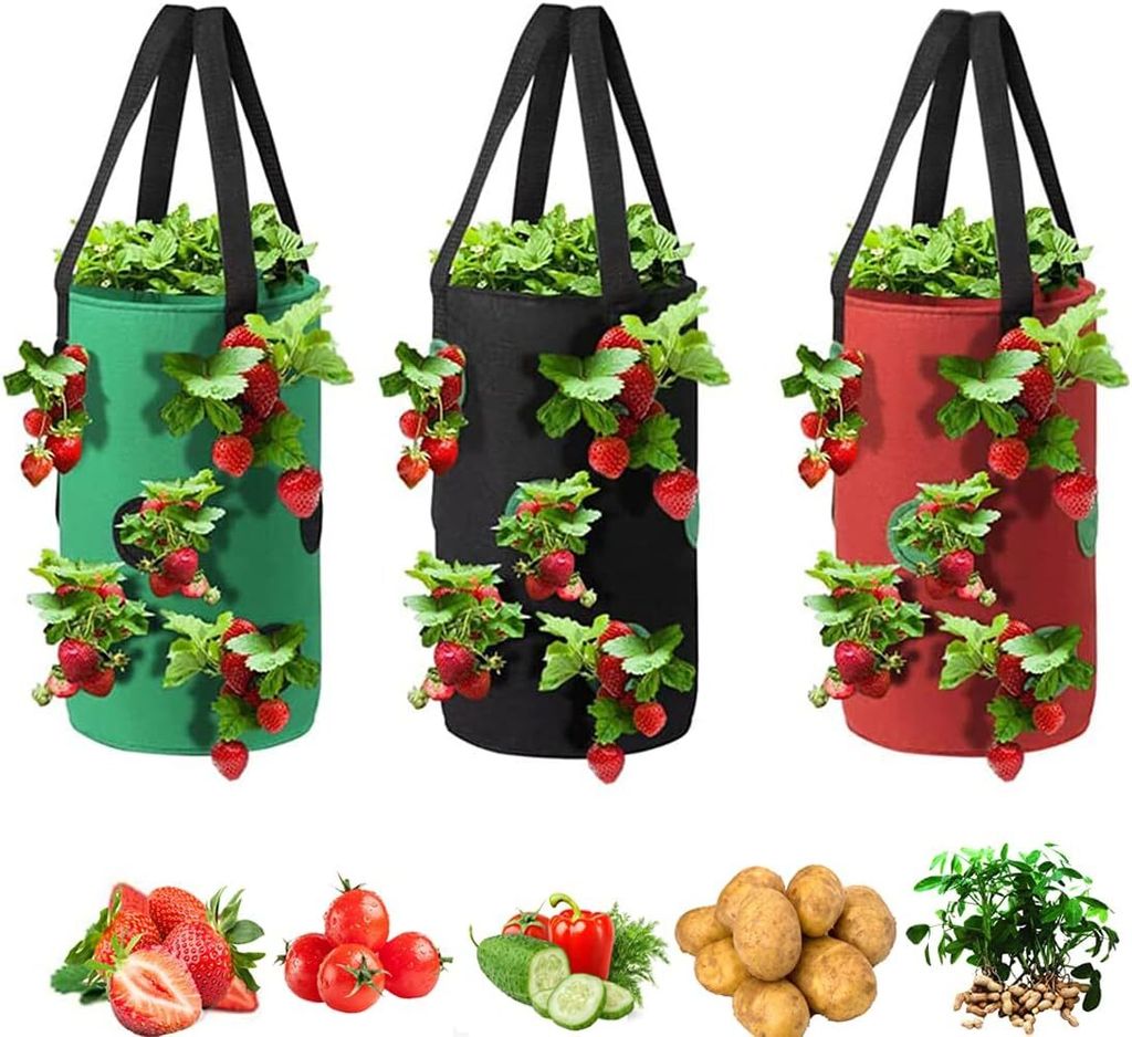 Grow Bags 3 Gallonen für Erdbeeren Gemüse 12 Pflanzlöcher, Produktbild 