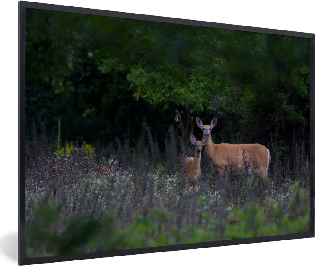 MuchoWow MuchoWow Gerahmtes Poster Hirsche - Blumen - Kalb - Wald 60x40 cm - Poster mit zchwarzem Bilderrahmen - Printing - Wanddeko Schlafzimmer