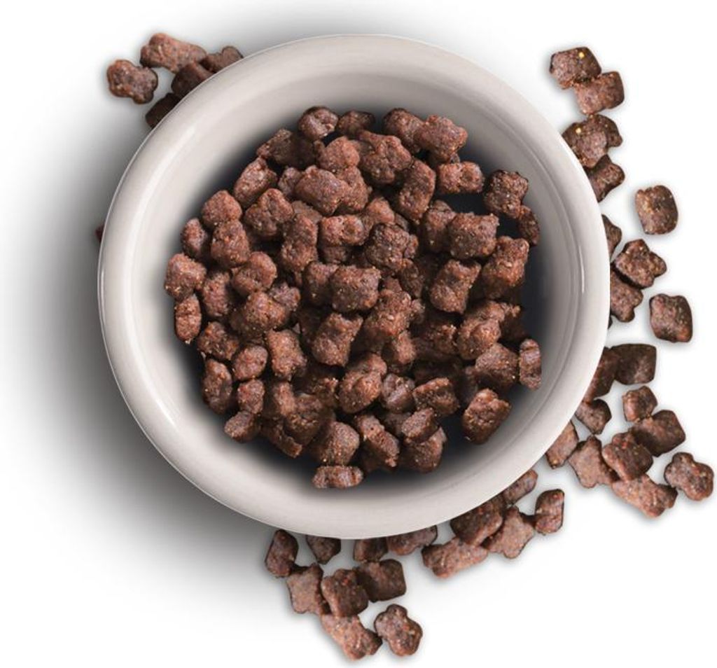 A bowl of dry cat food with some pieces scattered around it.
