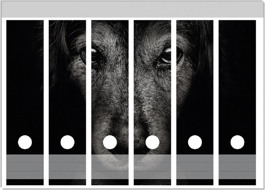 Wallario Ordnerrücken Sticker, selbstklebend für breite Ordner, 6 Stück, Motiv Eleganter Hund mit Zylinder in schwarz-weiß