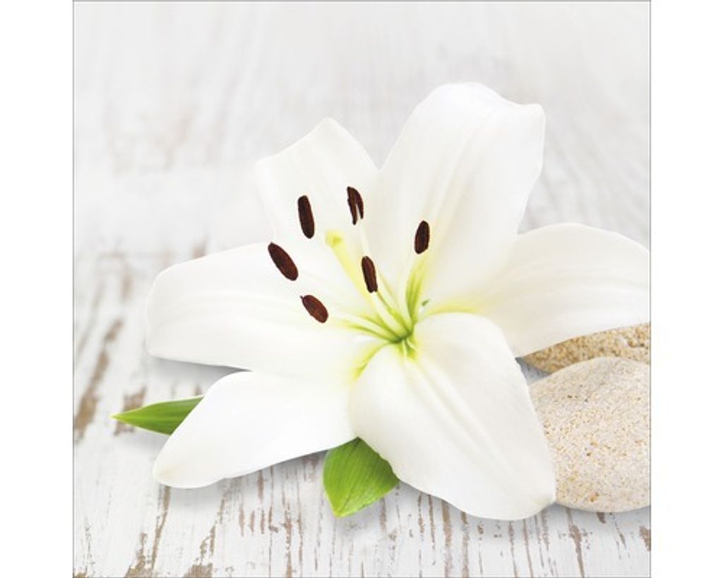 Glasbild White Line 20x20 cm