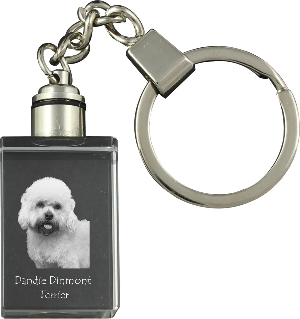 Portachiavi LED Dandie Dinmont Terrier Cristallo Art-Dog Gift Idea