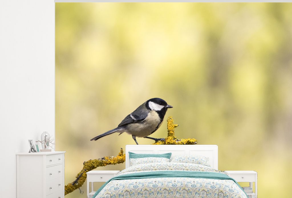 MuchoWow Fototapete für Wohnzimmer oder Schlafzimmer Wandtapete Vinyl Motivtapete Meise auf moosbewachsenem Ast - 300x240 cm - Fototapeten