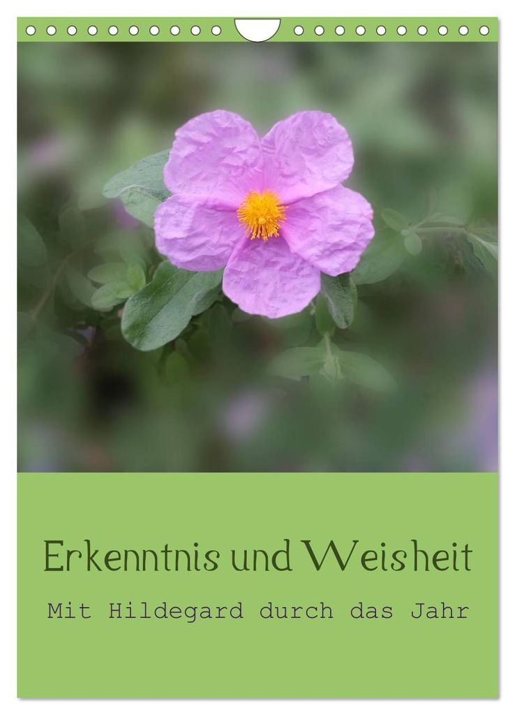 Erkenntnis und Weisheit - Hildegard von Bingen (Wandkalender 2027 DIN A4 hoch), CALVENDO Monatskalender