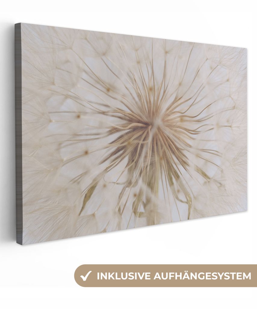 MuchoWow - Leinwandbilder - Blumen - Löwenzahn - Entwurf, Wandbild, Wanddeko Bilder Wohnzimmer, 30x20 cm