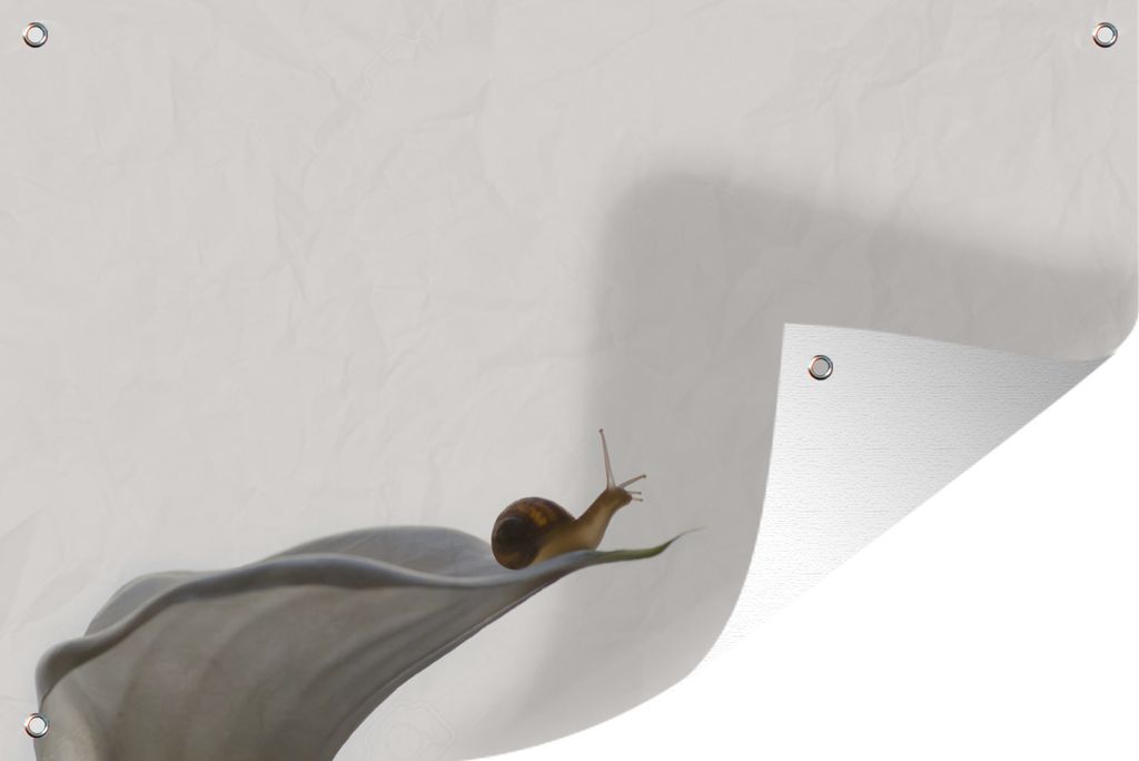 MuchoWow 90x60 cm Outdoor-Poster Gartendeko Sichtschutz Garten Poster für den Garten Schnecke - Lilie - Grau