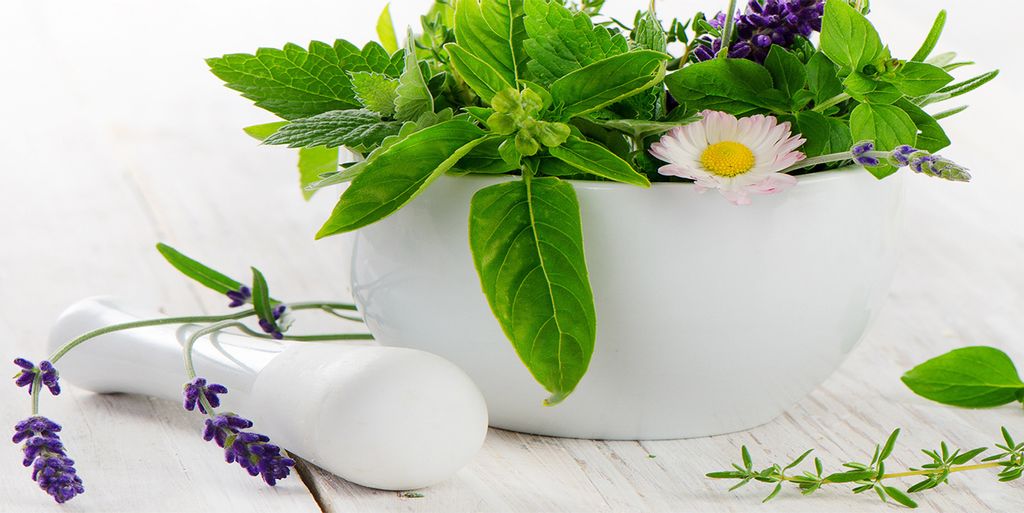 Tulup Glas-Bild - 100x50 -Wandkunst - Wandbild hinter gehärtetem Sicherheitsglas - Essen & Getränke - Mörser Kräuter - Grün