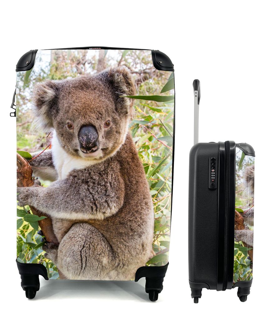 MuchoWow Koffer Handgepäck Trolley Rollkoffer Kleine Reisekoffer mit 4 Rollen - Koala - Blätter - Kinder - Jungen - Mädchen - Cabin Size < 55x...