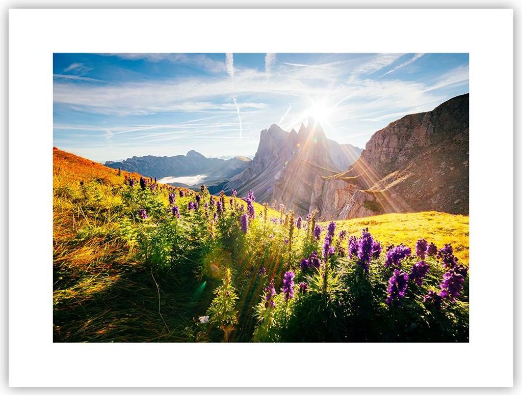 Poster - Poster ohne Rahmen - Berge Wiese Blumen - 40x30 cm - Wand Bild - Wanddeko - Wandbilder - Kunstposter - Wandposter - Bilder - Kunstdruck - ...
