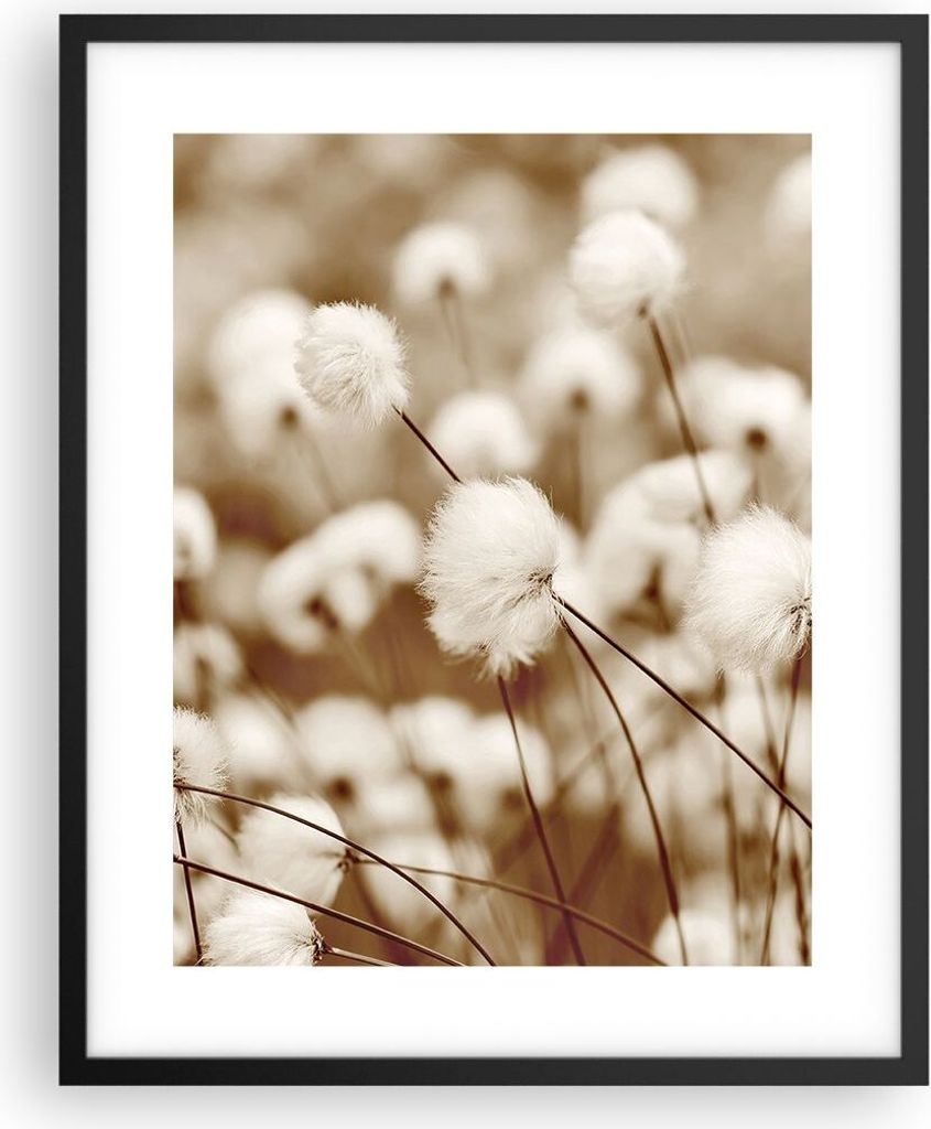 Gerahmtes Poster - Schwarzer Rahmen - Baumwolle Boho Wollig - 40x50 cm - Wand Bild - Wanddeko - Wandbilder - Kunstposter - Wandposter - Bilderrahme...