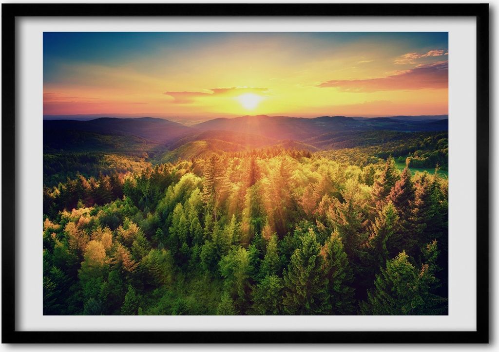 Bild - Bilder - Bilderrahmen - 70 cm x 50 cm - MDF-Rahmen, Wandkunst Wald Sonnenuntergang