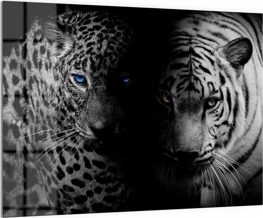 DEQORI Magnettafel Glas 120x90 cm 'Leopard und Tiger' beschreibbar Whiteboard