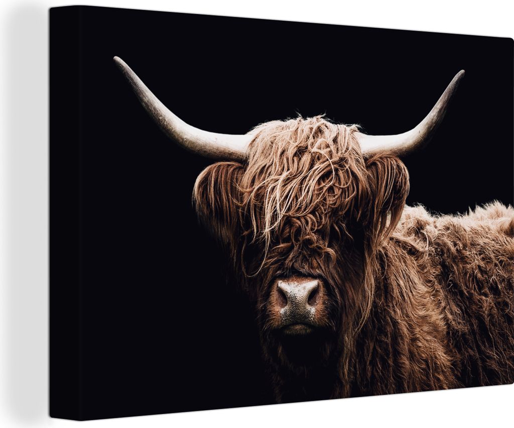 MuchoWow - Leinwandbilder - Schottischer Highlander - Schwarz - Horn, Wandbild, Wanddeko Bilder Wohnzimmer, 90x60 cm