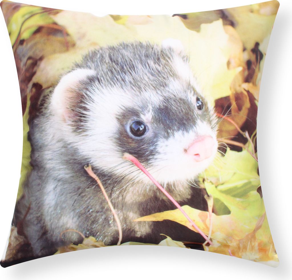 2er Set Kissenbezüge 40x40cm Motiv Frettchen