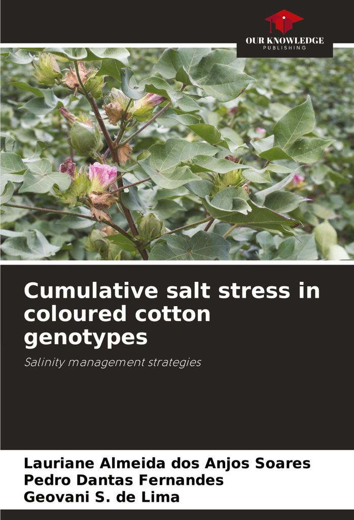 Cumulative salt stress in coloured Baumwolle genotypes
