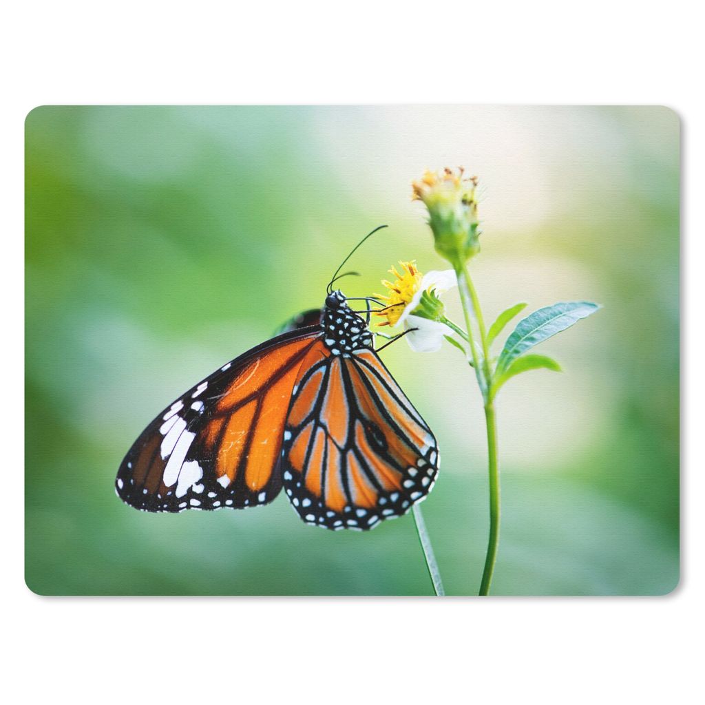 MuchoWow Mauspad Mousepad Schmetterling - Blumen - Insekten 40x30 cm - Mousepads - Maus Mat - Pad - Mausunterlage - Anti Rutsch