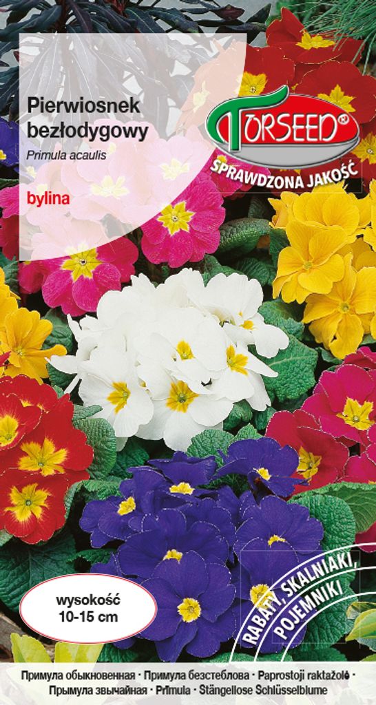 A package of primrose seeds with images of various colored primrose flowers.
