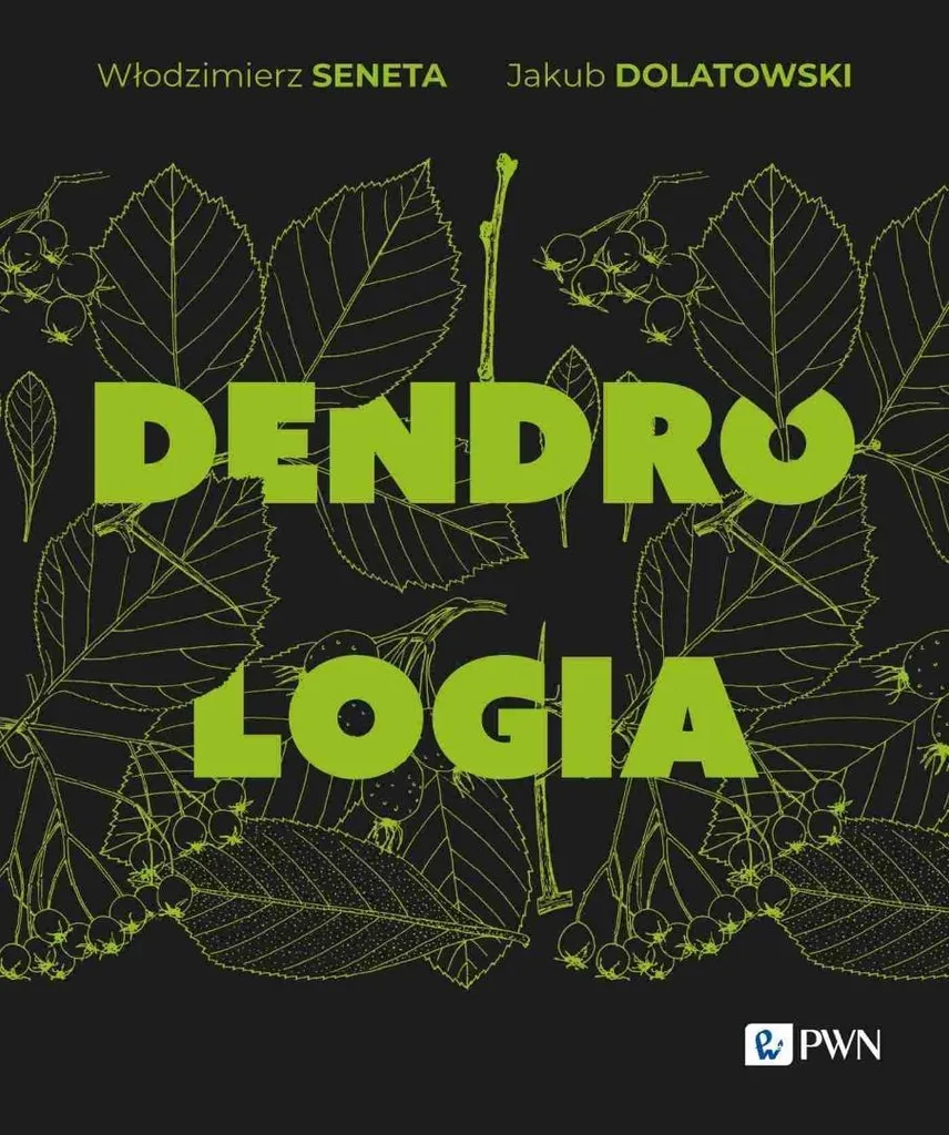 Dendrologia : apprenez à reconnaître les arbres lors de vos randonnées nature