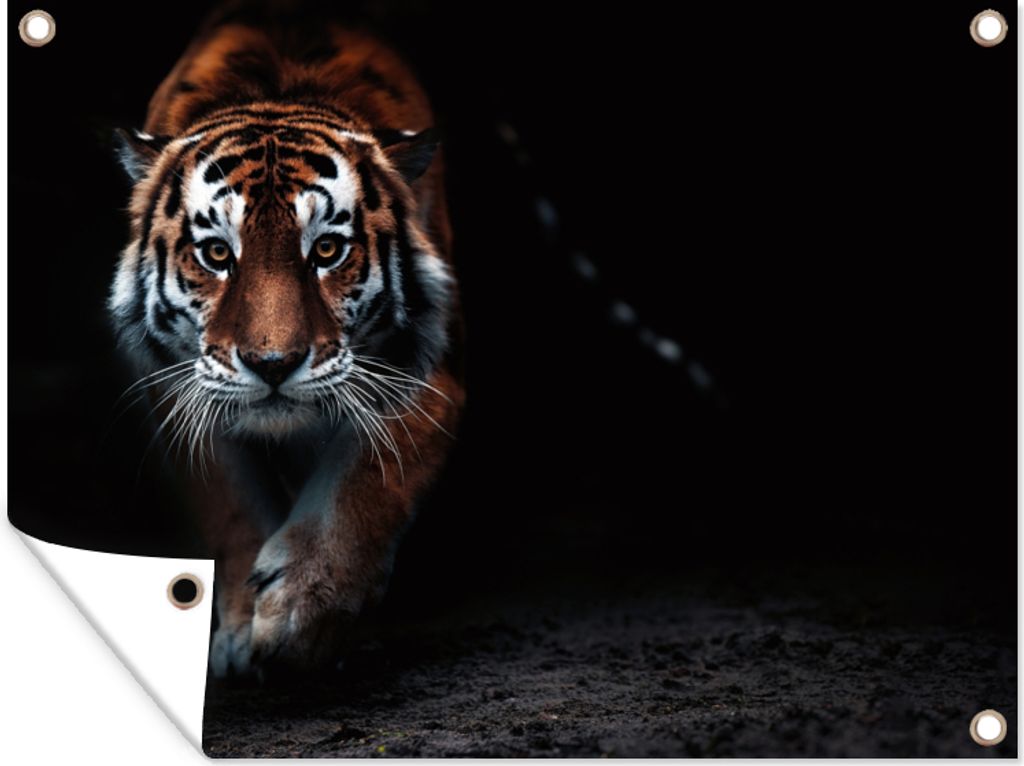 MuchoWow 80x60 cm Outdoor-Poster Gartendeko Sichtschutz Garten Poster für den Garten Tiere - Tiger - Schwarz - Wild - Porträt
