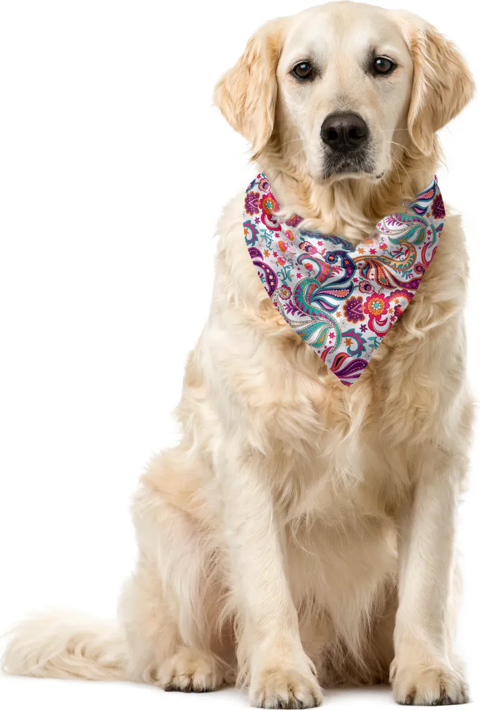 Bandana Cane Paisley Multicolore ABAKUHAUS 55x55cm - Accessorio Boho Pet