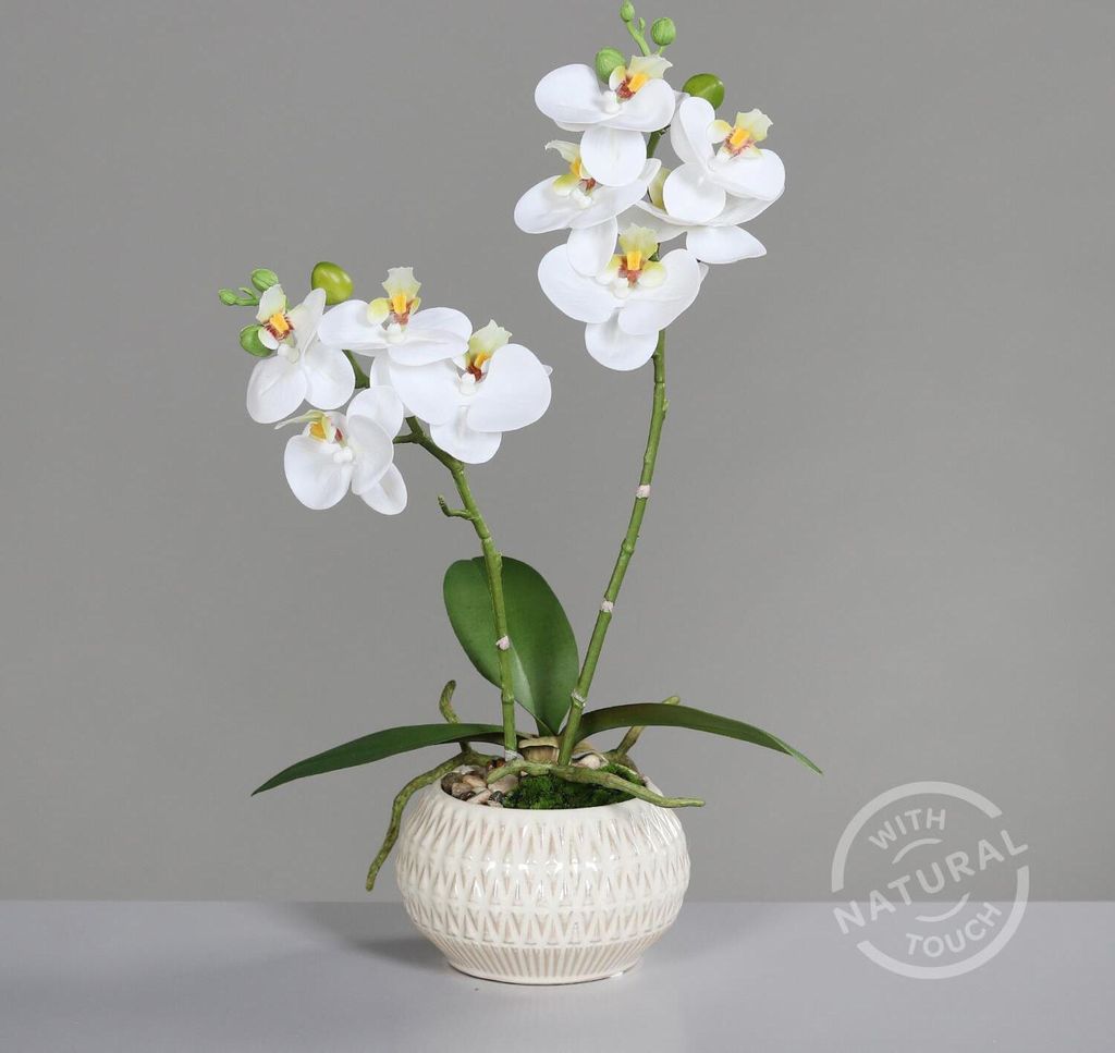 künstliche Orchidee REAL TOUCH weiß in Keramiktopf H. 36cm DPI Kunstblumen
