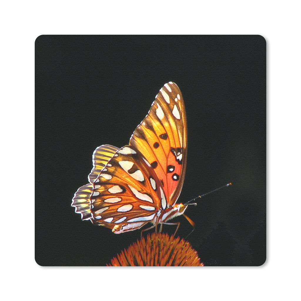 MuchoWow Mauspad Mousepad Schmetterling - Blumen - Insekt - Porträt - Schwarz - Orange 20x20 cm - Mousepads - Maus Mat - Pad - Mausunterlage - D...