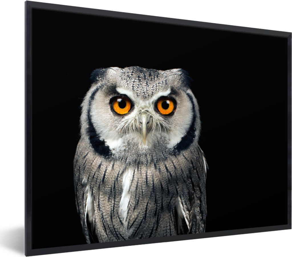 MuchoWow Gerahmtes Poster Eule - Vogel - Orange - Schwarz 40x30 cm - Poster mit Schwarzem Bilderrahmen Wandposter Rahmen Foto Bilder - Kunstposte...