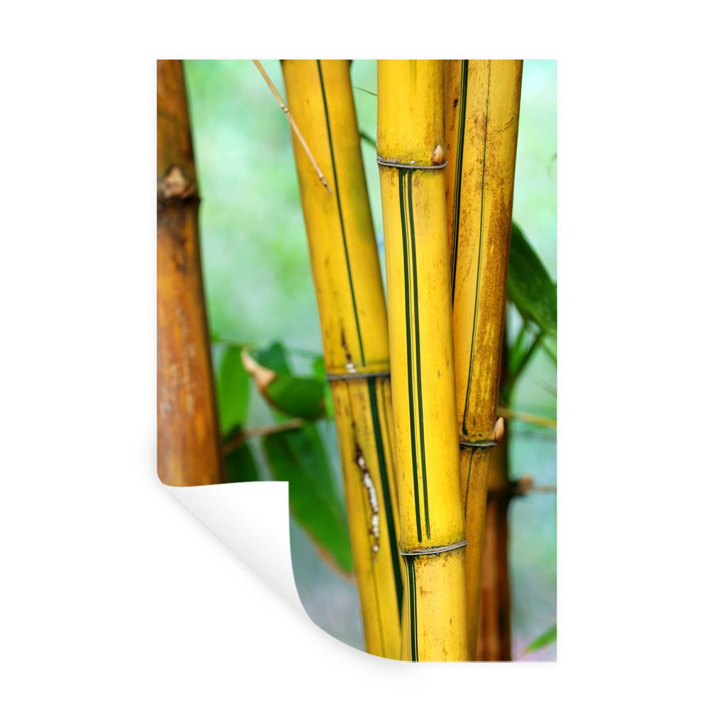 MuchoWow Wandtattoo Wandsticker Wandaufkleber Gelber Bambus 40x60 cm Selbstklebend und Repositionierbar - Wierderverwendbar - Selbstklebend