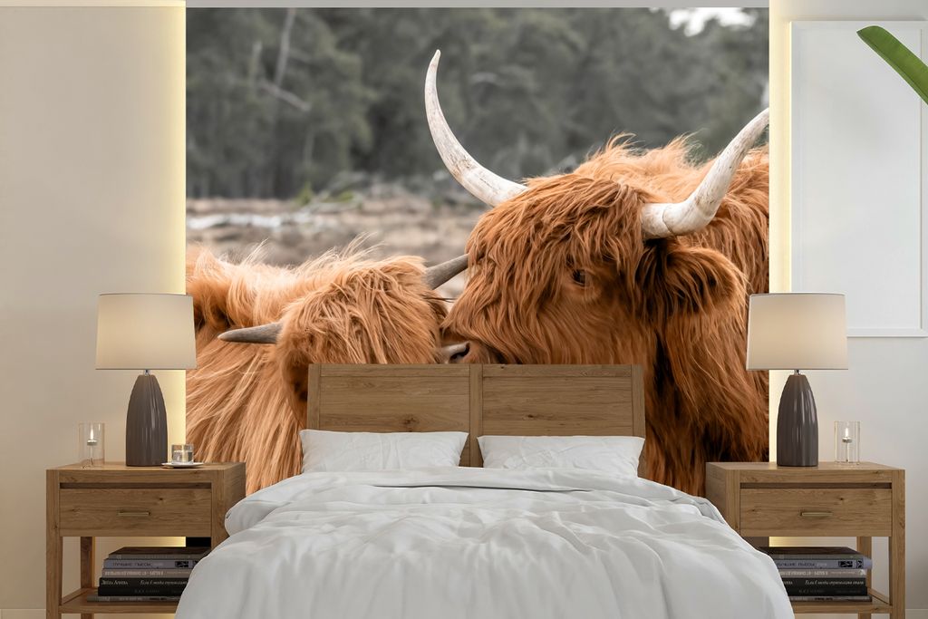 MuchoWow Fototapete für Wohnzimmer oder Schlafzimmer Wandtapete Vinyl Motivtapete Schottischer Highlander - Kuh - Tiere - 300x300 cm - Wanddekor...