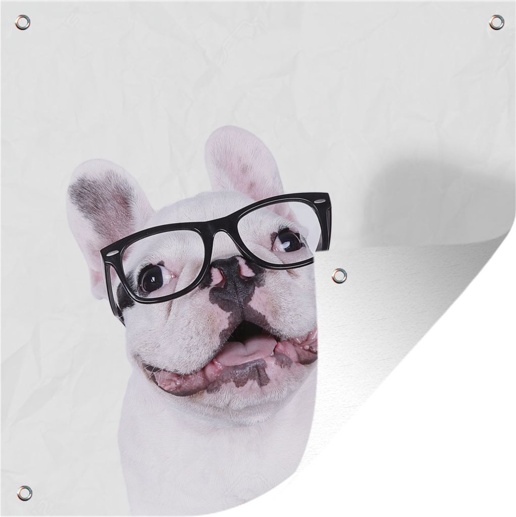 MuchoWow 50x50 cm Outdoor-Poster Gartendeko Sichtschutz Garten Poster für den Garten Hund - Brille - Hipster
