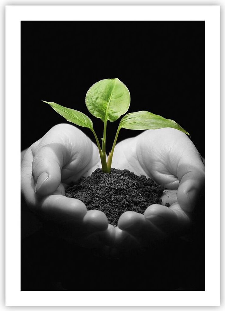 Poster - Poster ohne Rahmen - Natur Pflanze Wissenschaft Schutz - 50x70 cm - Wand Bild - Wanddeko - Wandbilder - Kunstposter - Wandposter - Bilder ...