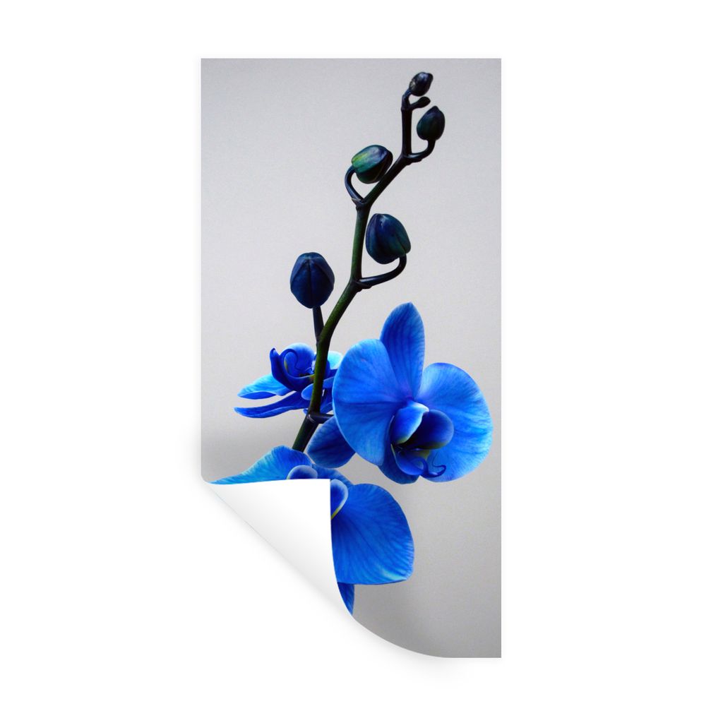 MuchoWow Wandtattoo Wandsticker Wandaufkleber Blaue Orchidee 60x120 cm Selbstklebend und Repositionierbar - Selbstklebend - Fototapeten